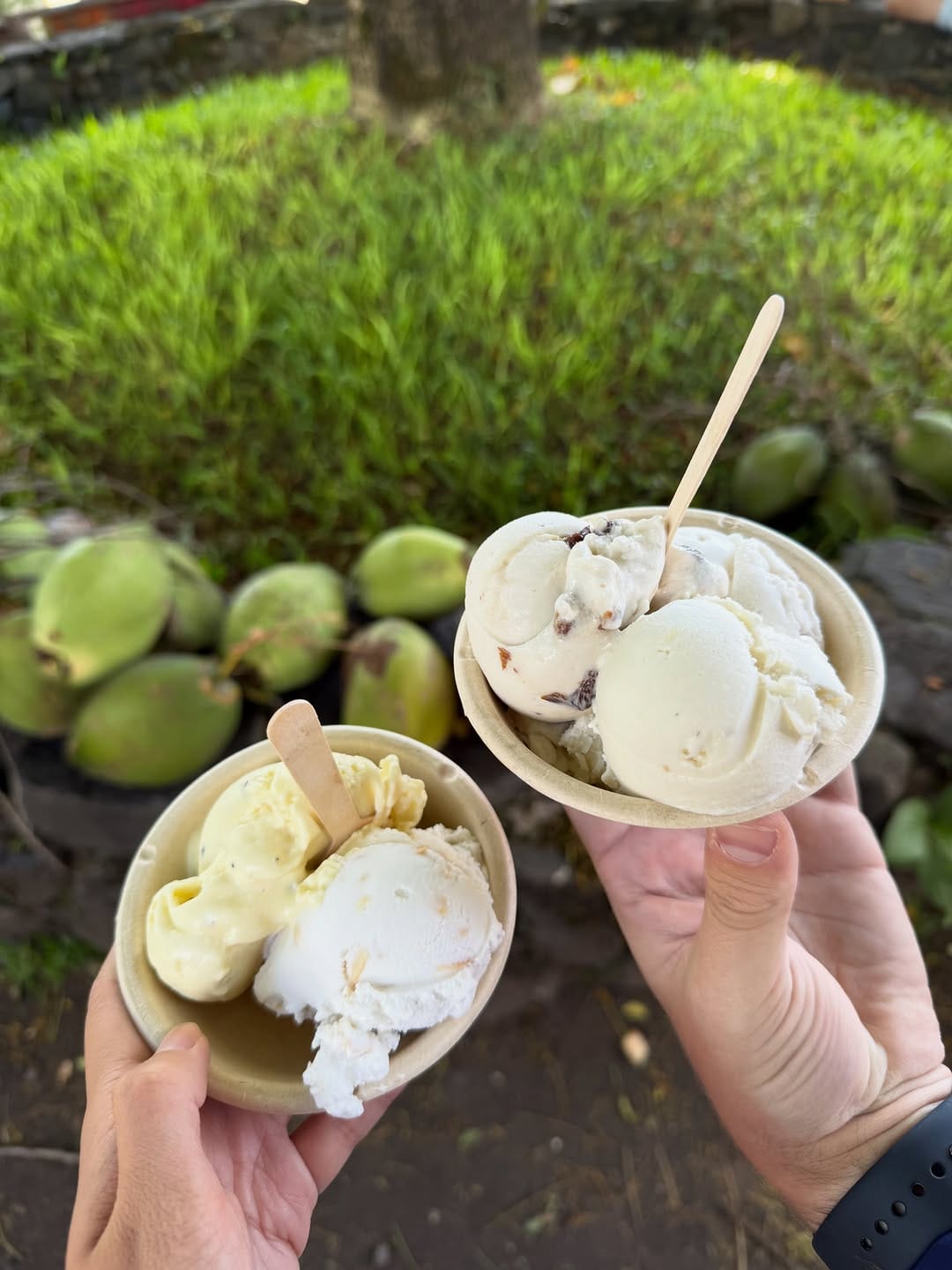 Post 10 by Coconut Glen's Ice Cream on Instagram (carousel)