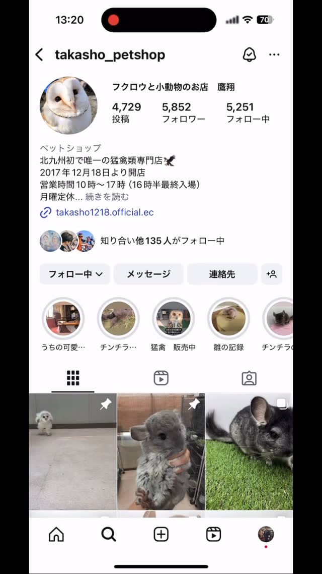 Post 10 by フクロウと小動物のお店　鷹翔 on Instagram (video)