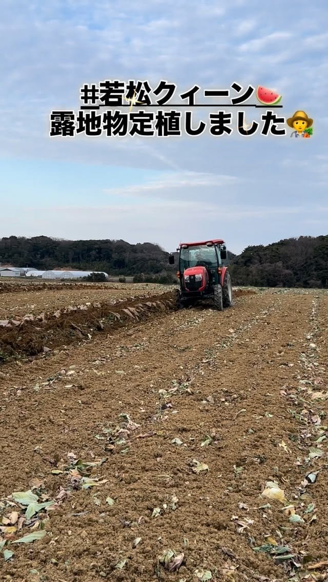 Post 4 by 若松 田中農園 on Instagram (video)