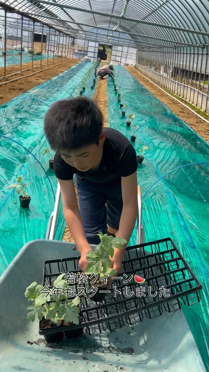 Post 6 by 若松 田中農園 on Instagram (video)