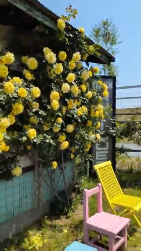 Post 7 by Trifle-worth Antiques on Instagram (video)
