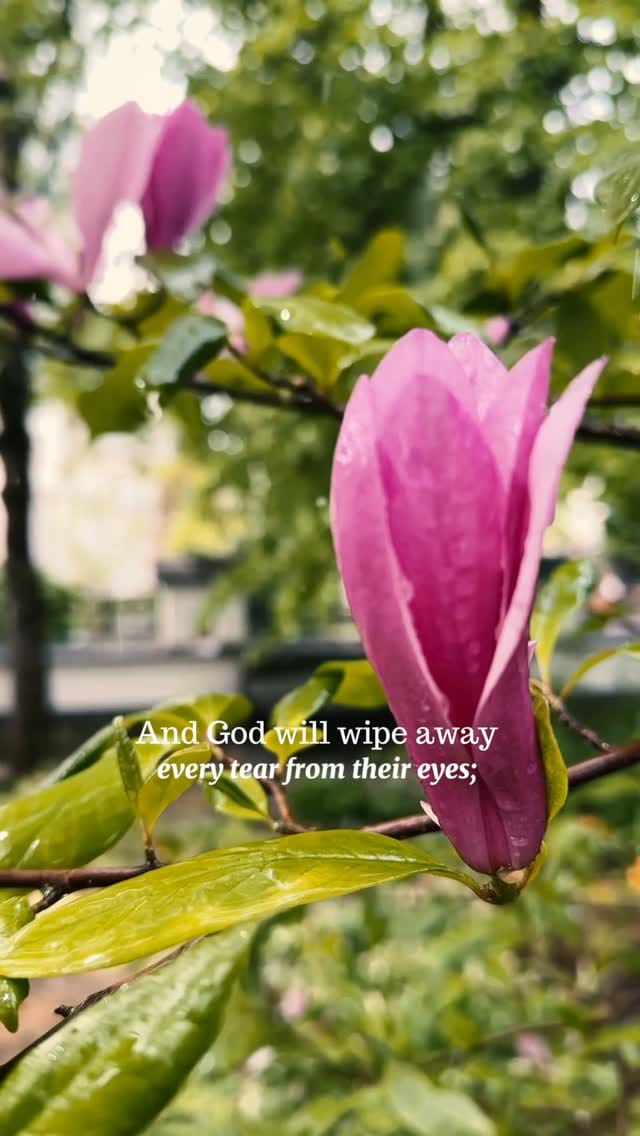 Post 5 by St Elisabeth Convent on Instagram (video)