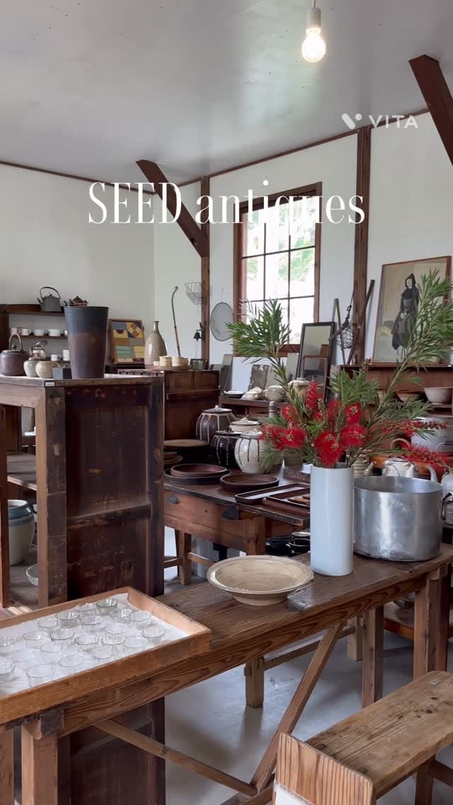 Post 6 by 俣野育子　SEEDantique (KYOTO) on Instagram (video)