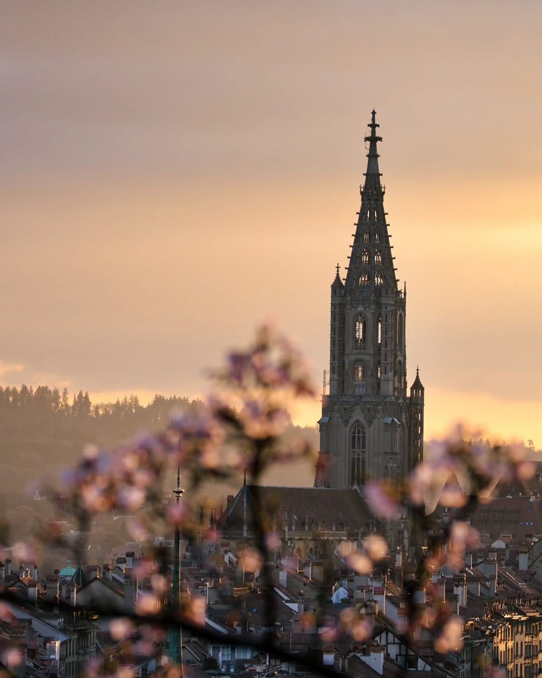 Post 6 by Instagramers™ Bern on Instagram (image)
