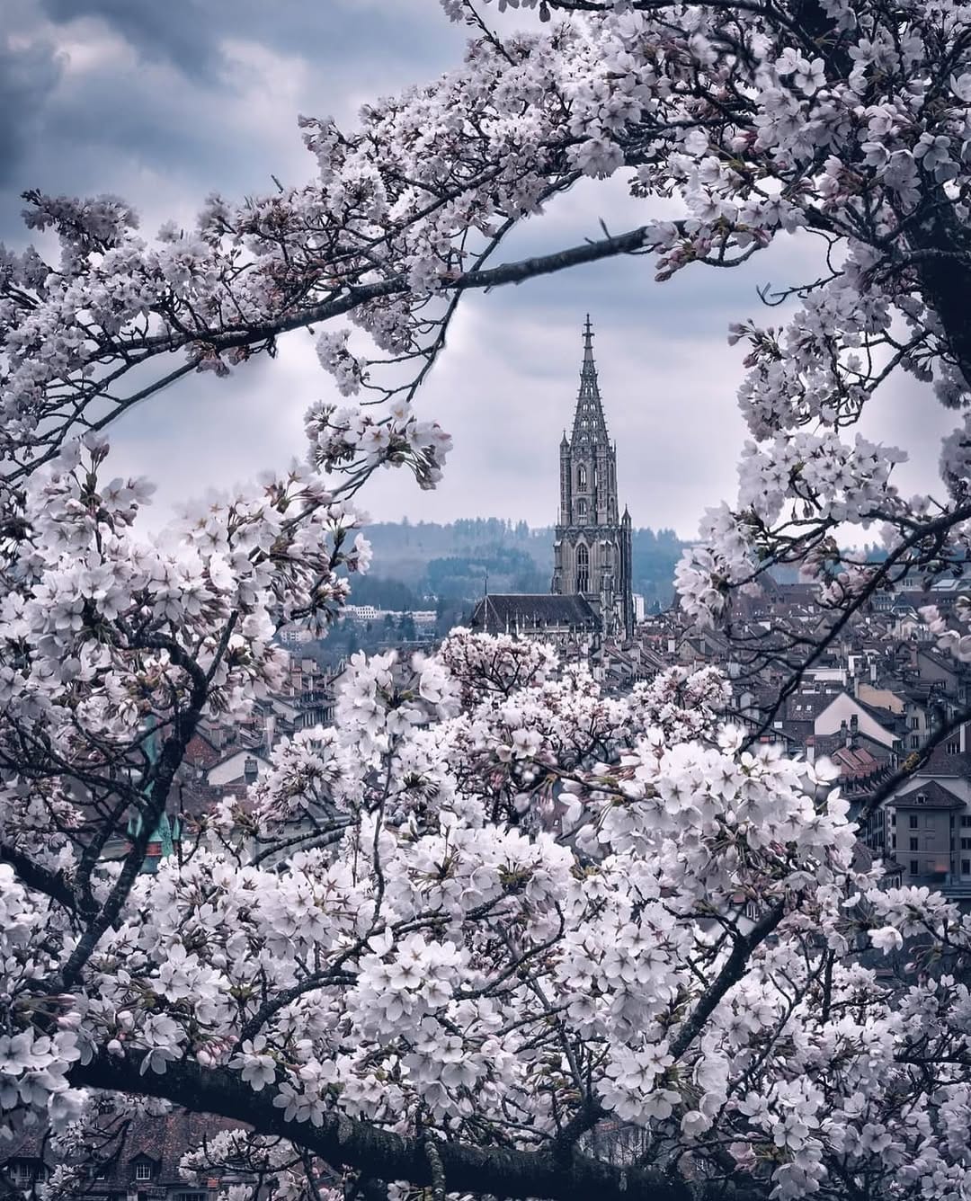 Post 7 by Instagramers™ Bern on Instagram (image)