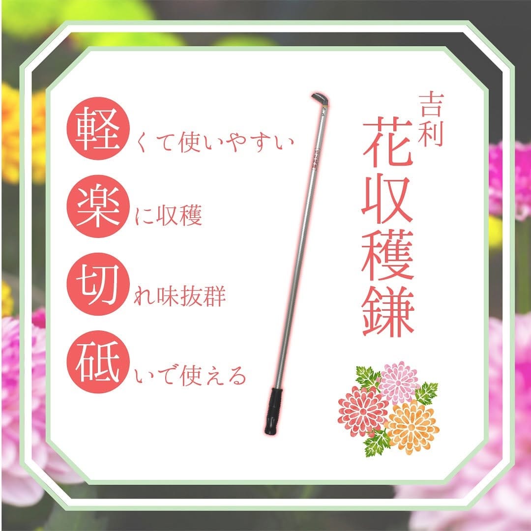 Post 8 by 農業専門オンラインストア ノーグワン. on Instagram (carousel)