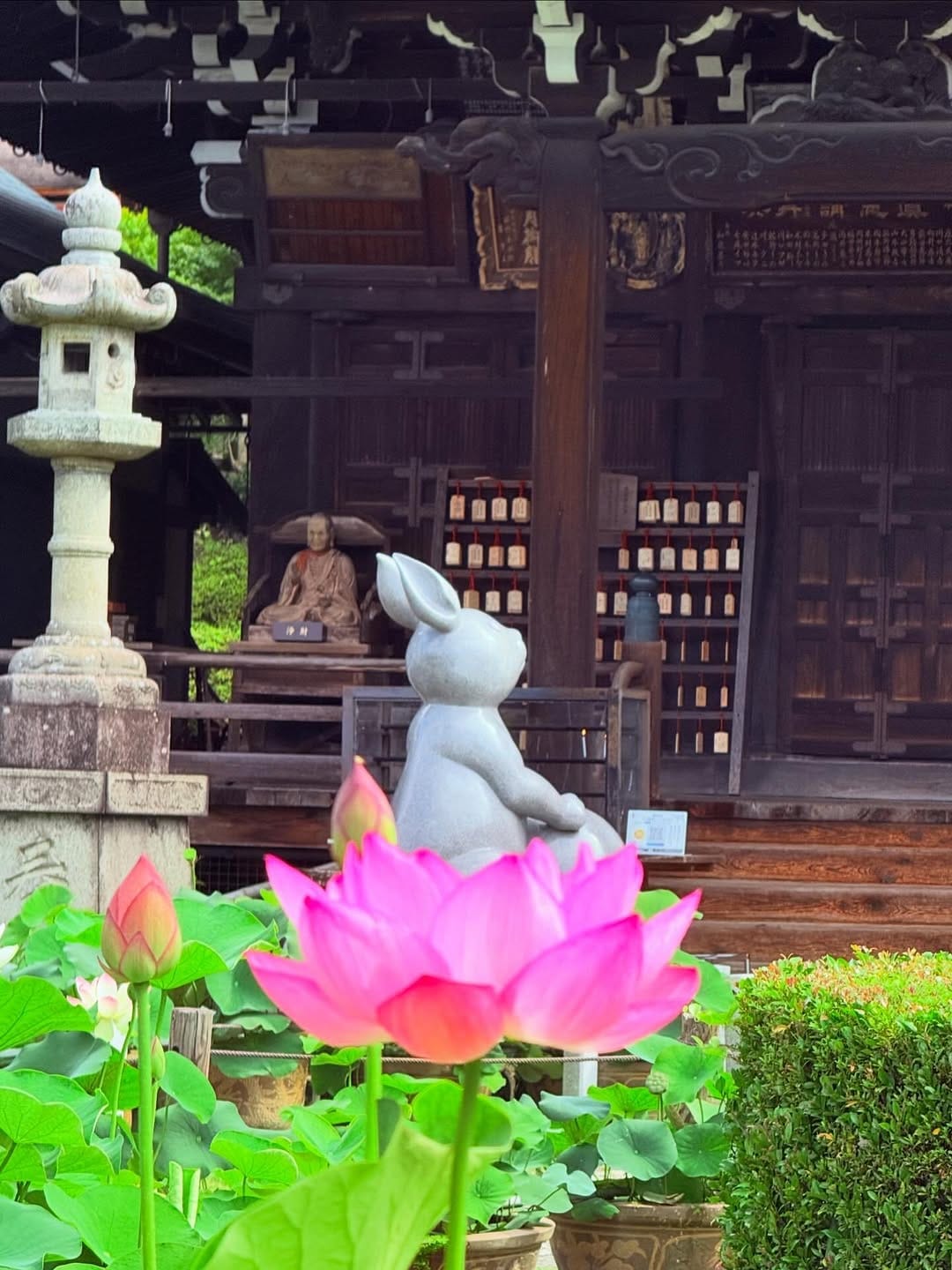 Post 1 by 三室戸寺 あじさい寺 on Instagram (carousel)