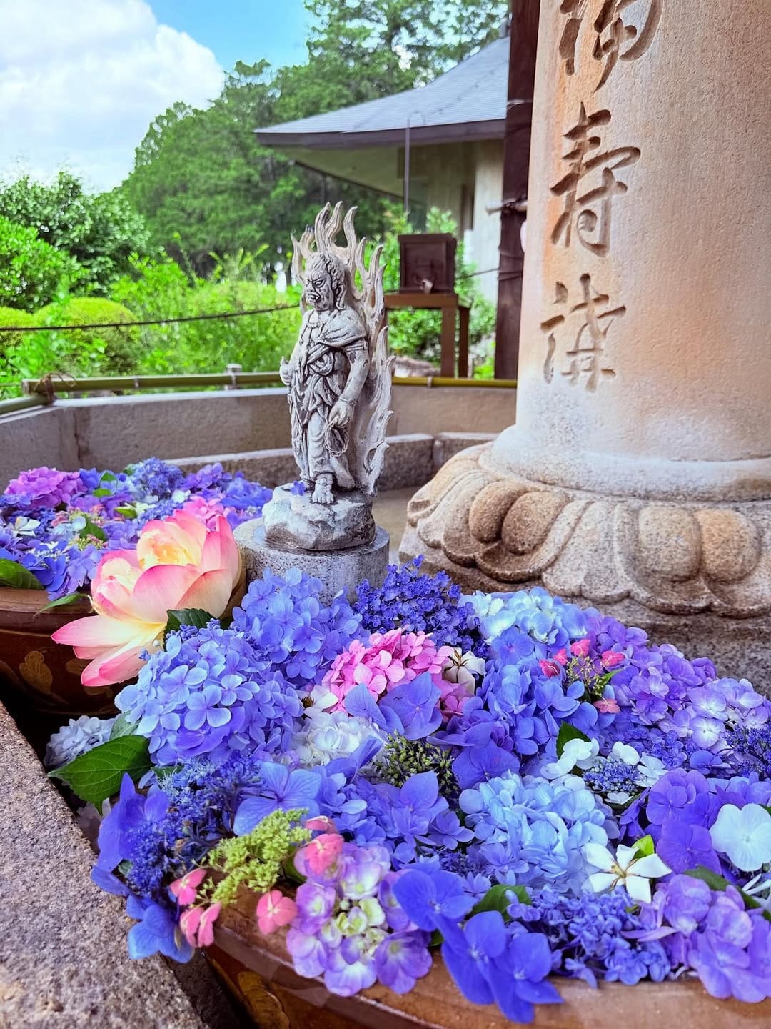 Post 2 by 三室戸寺 あじさい寺 on Instagram (carousel)