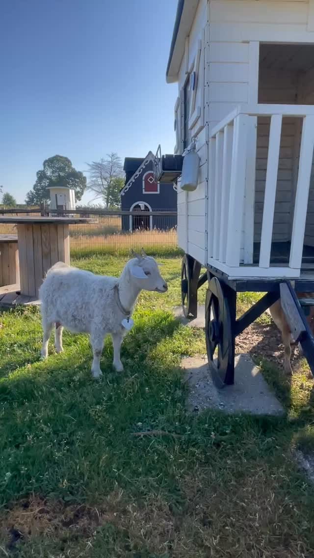 Post 5 by Anja Versteeg-Peters on Instagram (video)