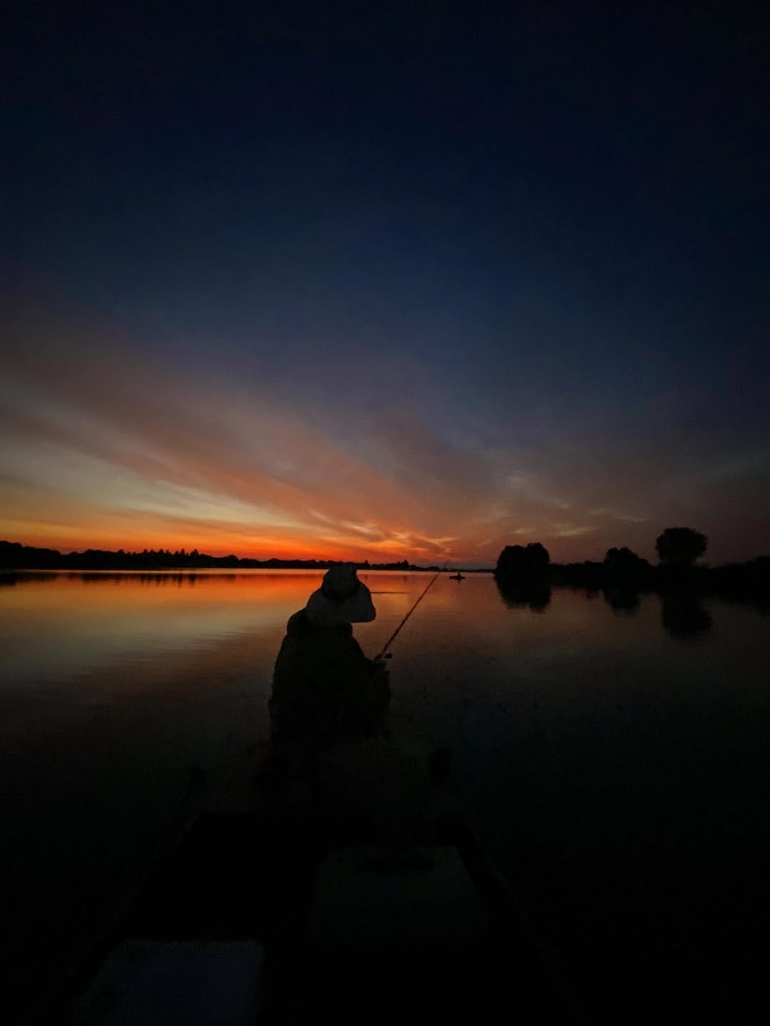Post 6 by Brown Tabby on Instagram (image)
