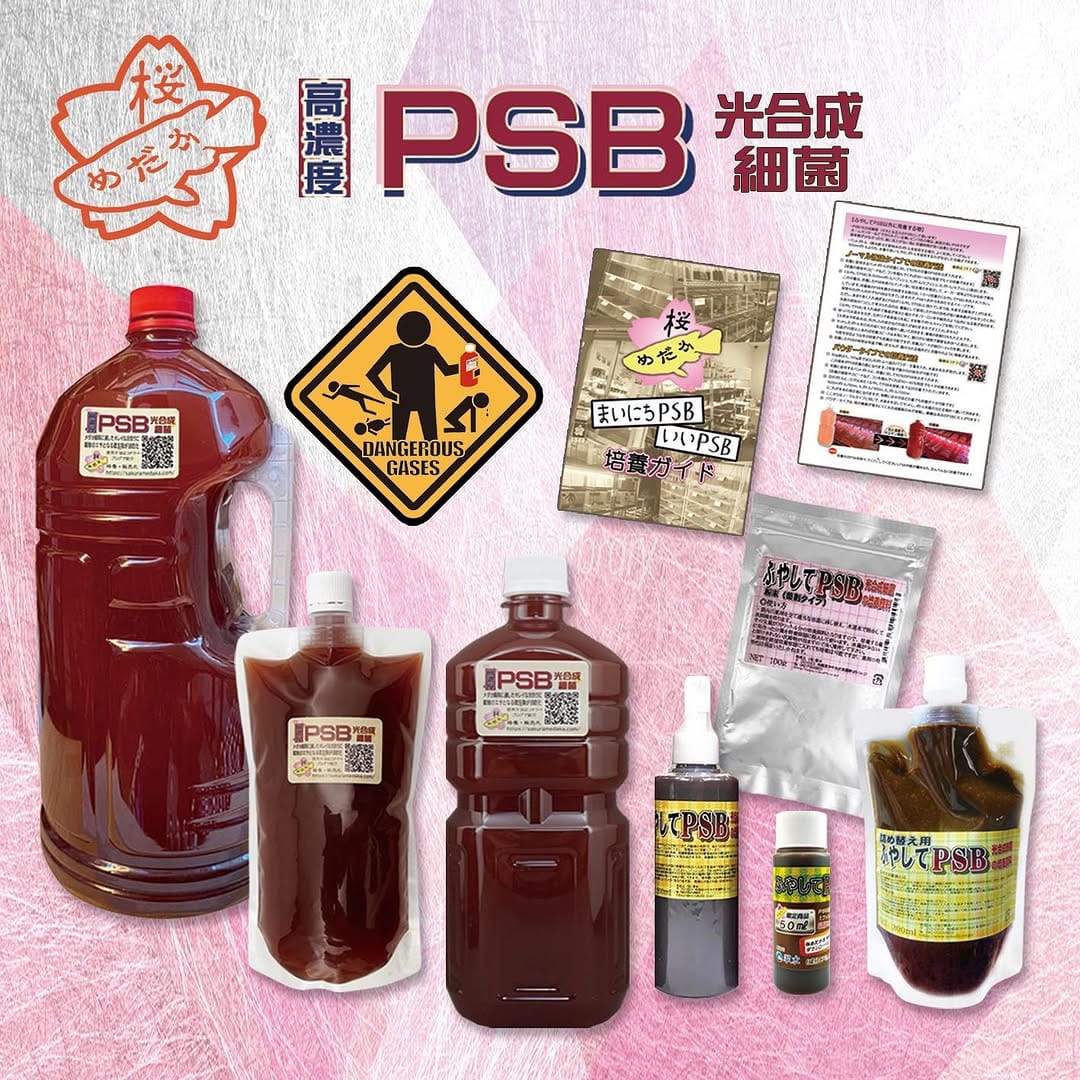 Post 10 by 桜めだか 【神戸のメダカ専門店】 on Instagram (carousel)