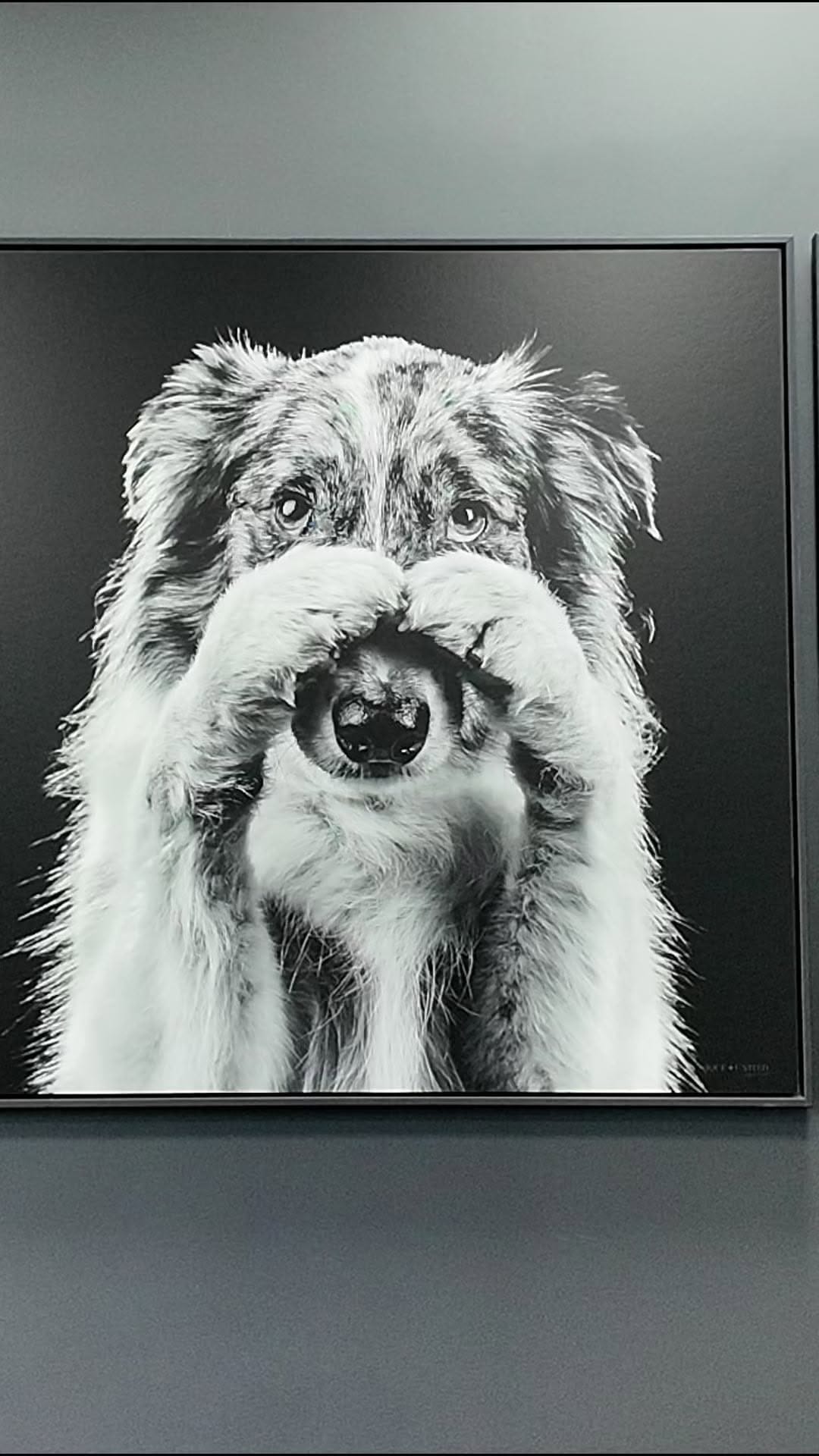 Post 4 by Loxley Colour on Instagram (video)