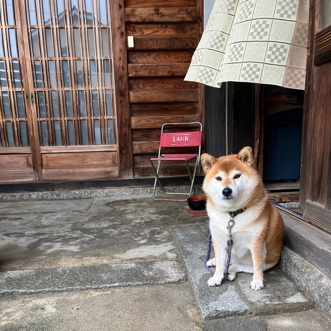 Post 5 by オオカミ珈琲 on Instagram (image)