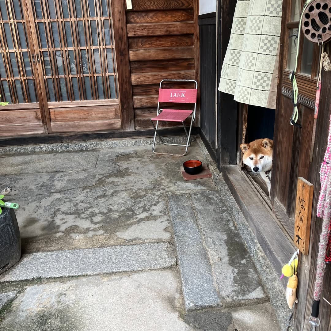 Post 4 by オオカミ珈琲 on Instagram (image)