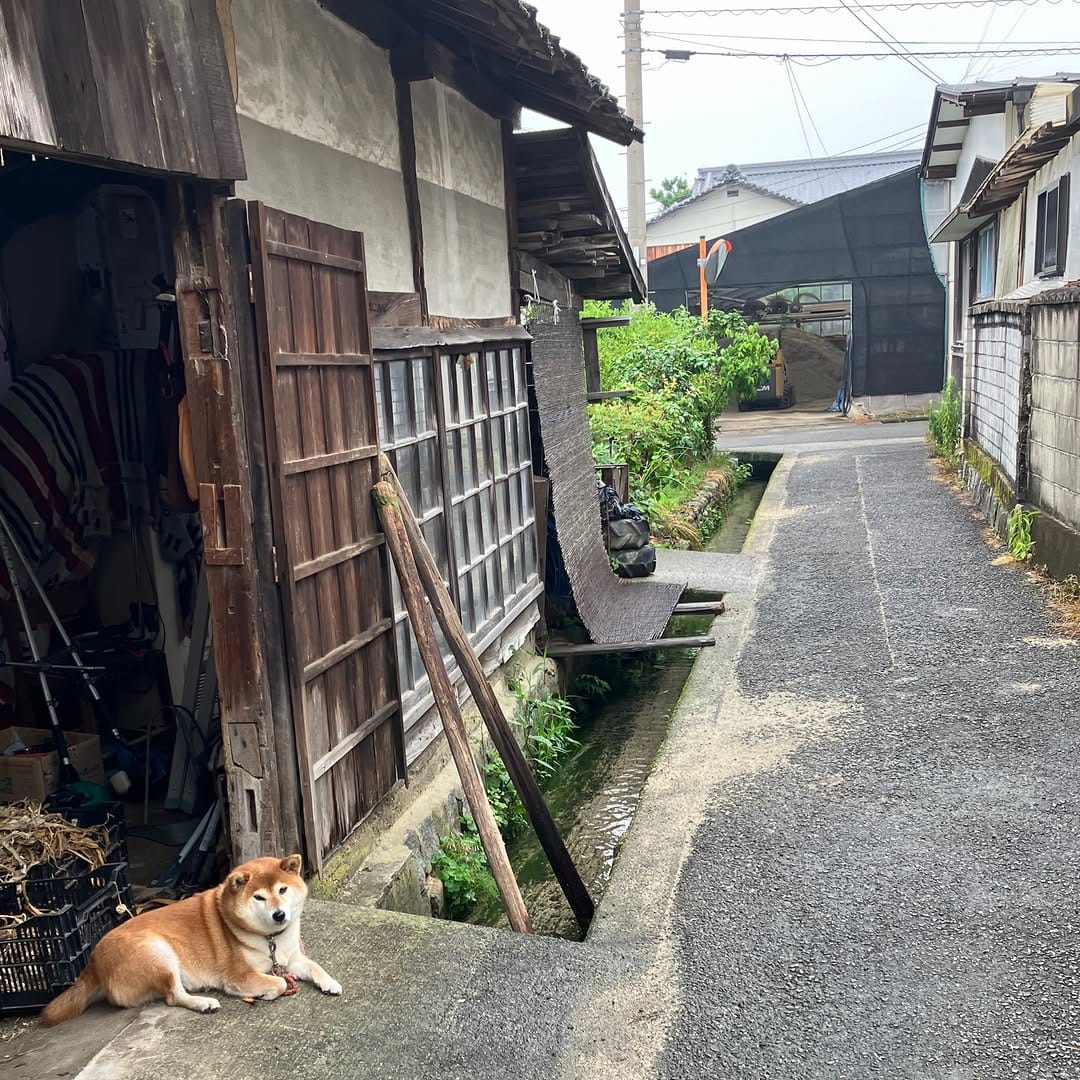 Post 6 by オオカミ珈琲 on Instagram (image)