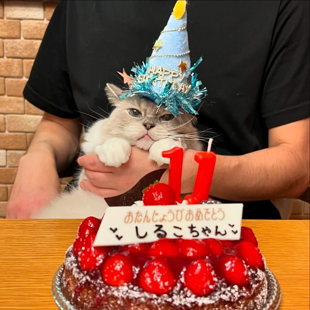 Post 6 by しることういろう on Instagram (image)
