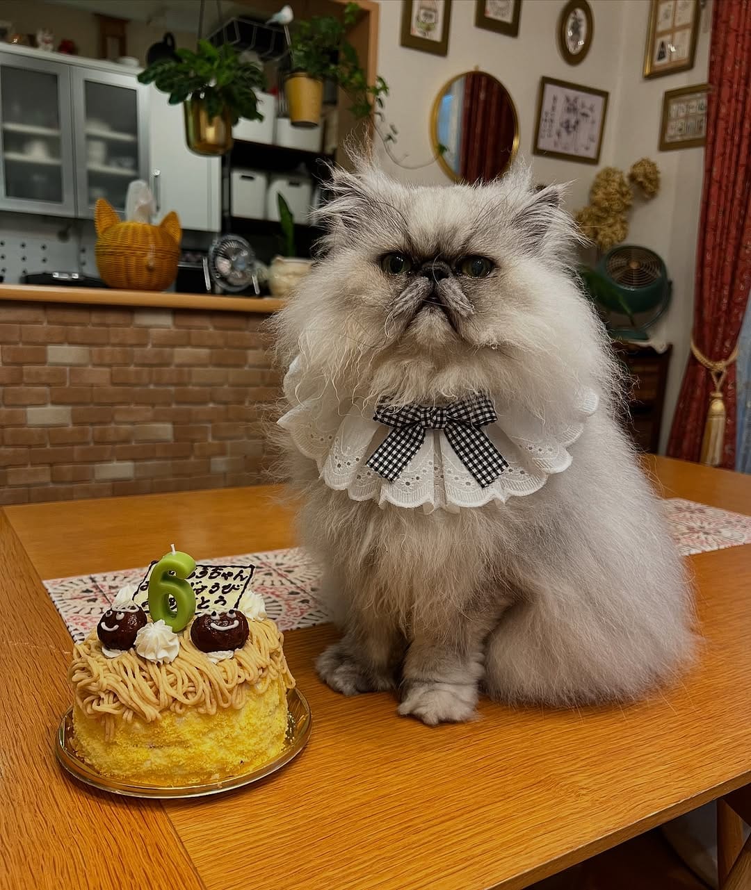 Post 3 by しることういろう on Instagram (image)