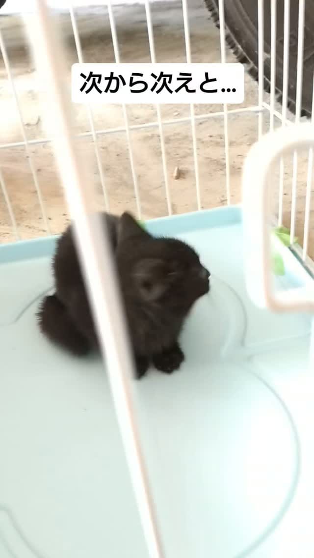Post 8 by てらだ りえ on Instagram (video)