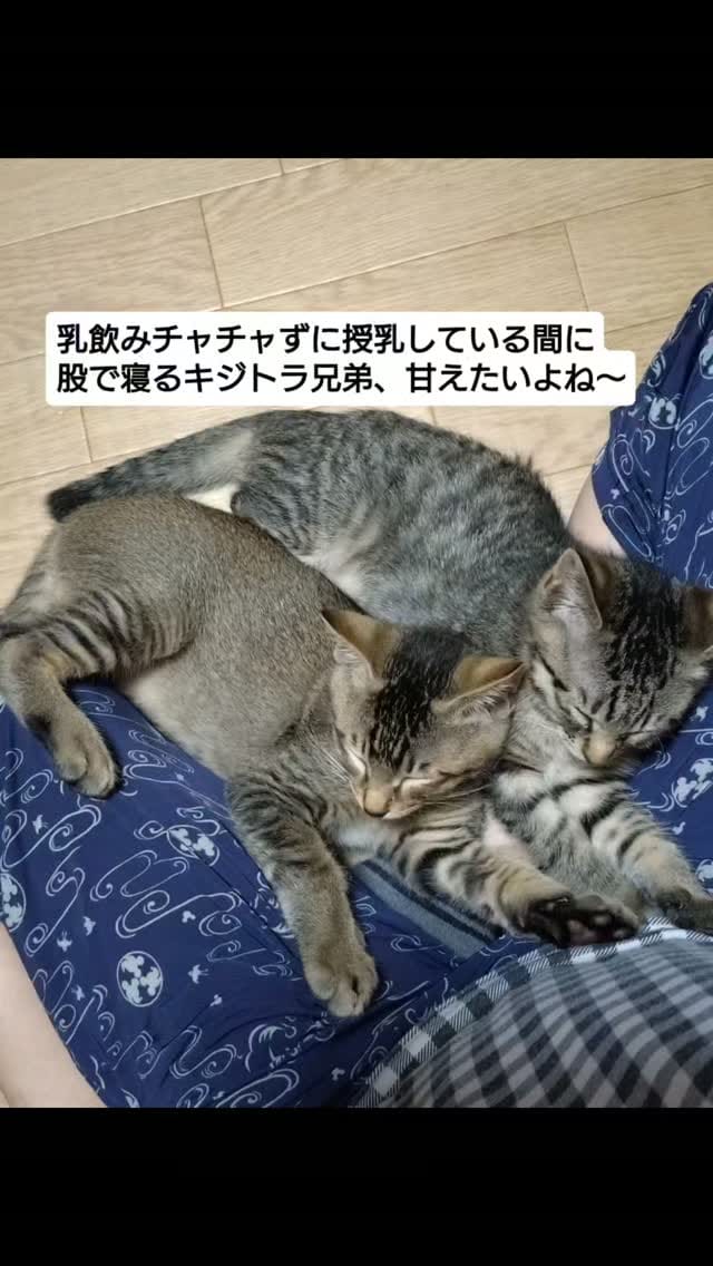 Post 3 by てらだ りえ on Instagram (video)