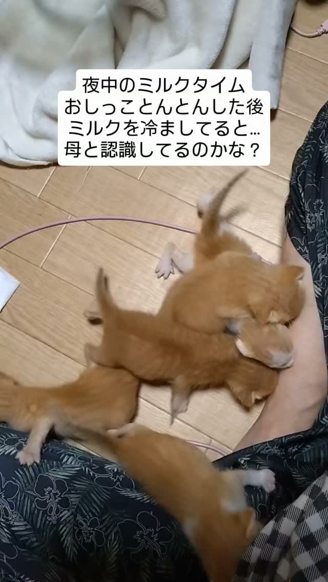 Post 6 by てらだ りえ on Instagram (video)
