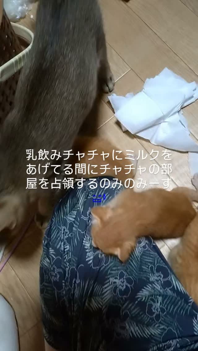 Post 4 by てらだ りえ on Instagram (video)