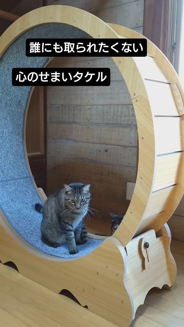Post 9 by てらだ りえ on Instagram (video)