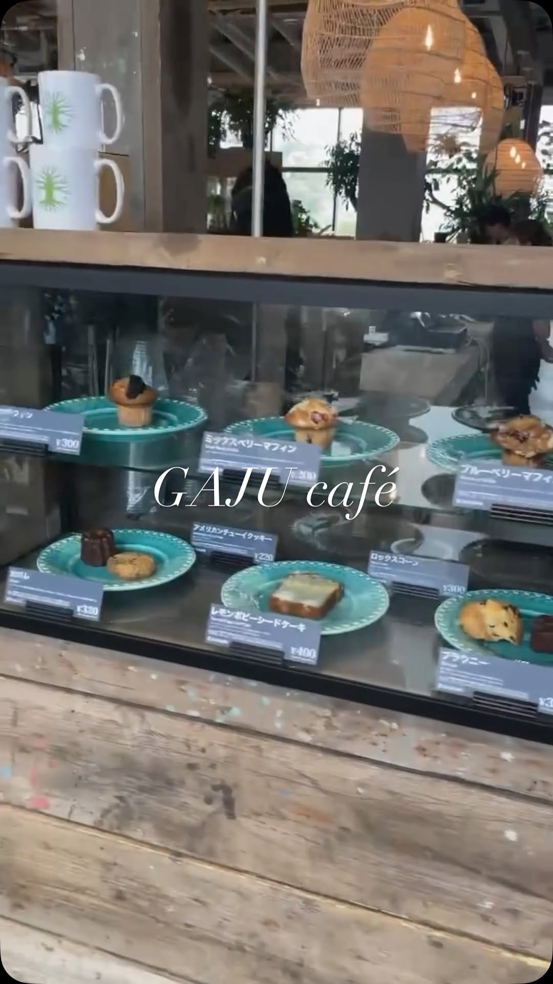 Post 9 by GAJUGAJU 和歌山・奈良総合植物店舗 on Instagram (video)