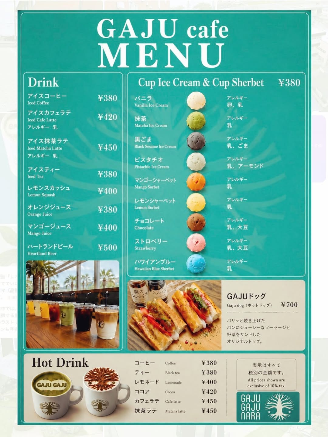 Post 3 by GAJUGAJU 和歌山・奈良総合植物店舗 on Instagram (image)