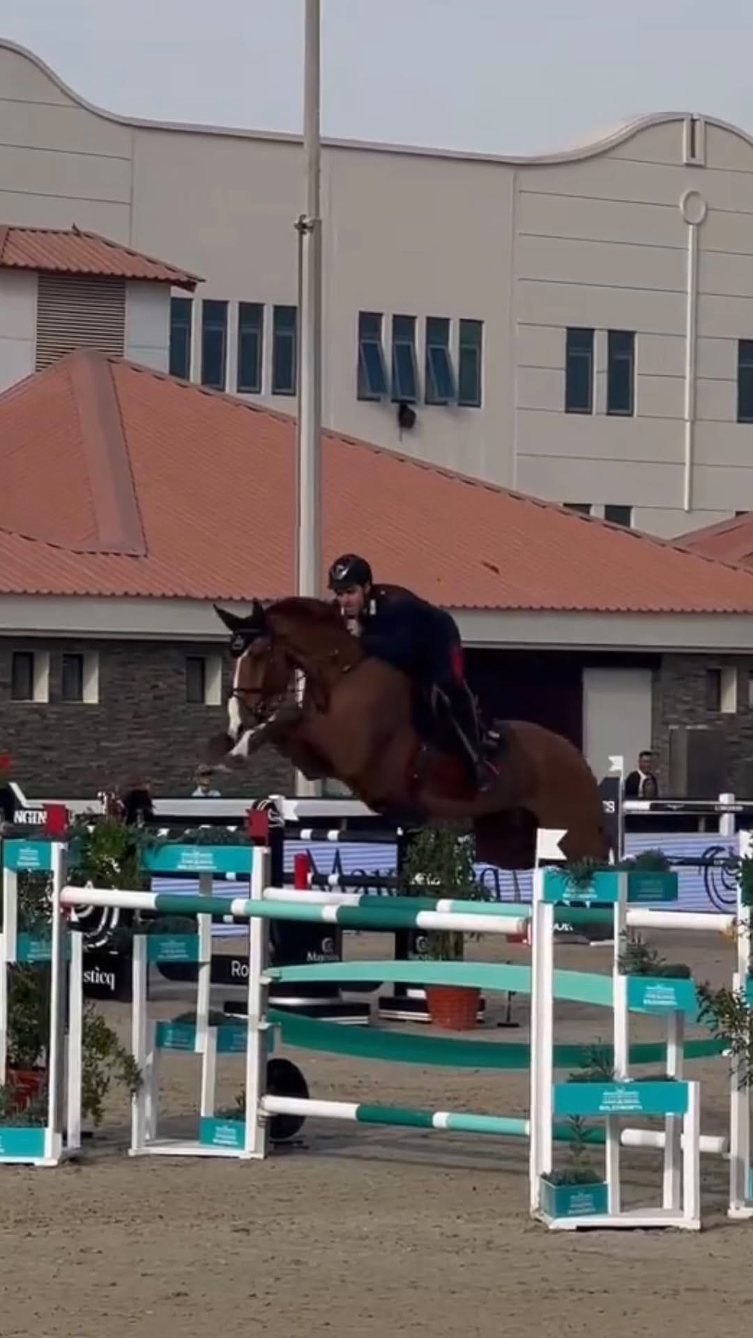 Post 1 by Horsesplanet on Instagram (video)