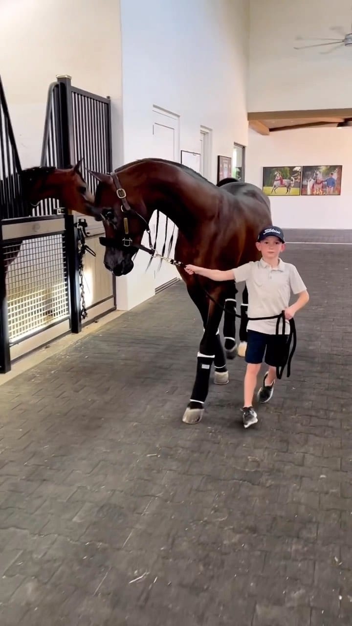 Post 10 by Horsesplanet on Instagram (video)