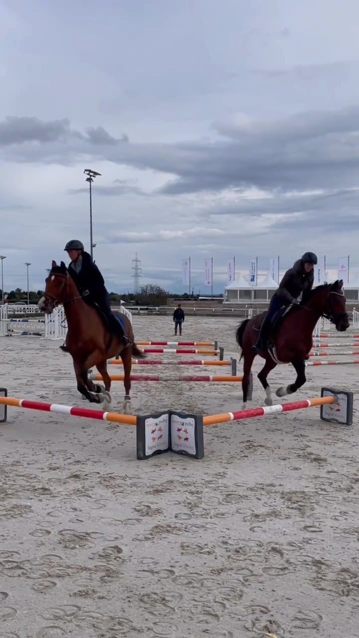 Post 9 by Horsesplanet on Instagram (video)