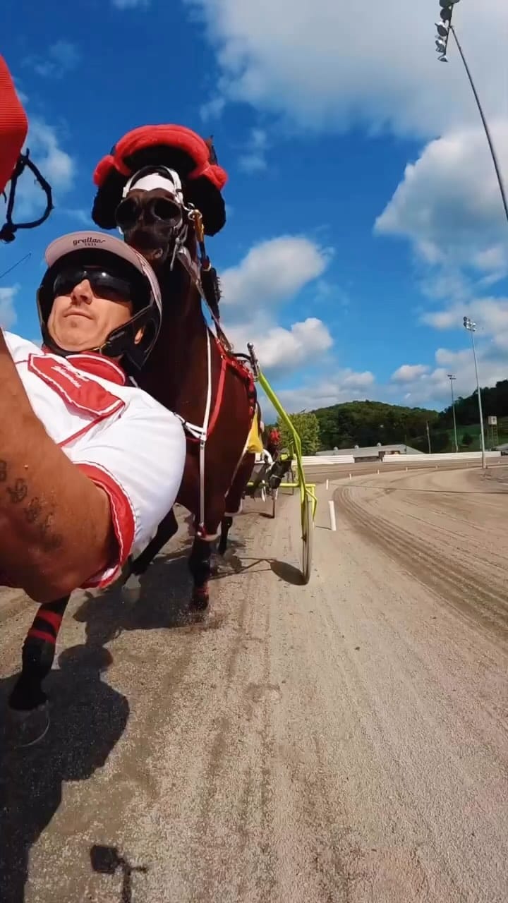 Post 4 by Horsesplanet on Instagram (video)