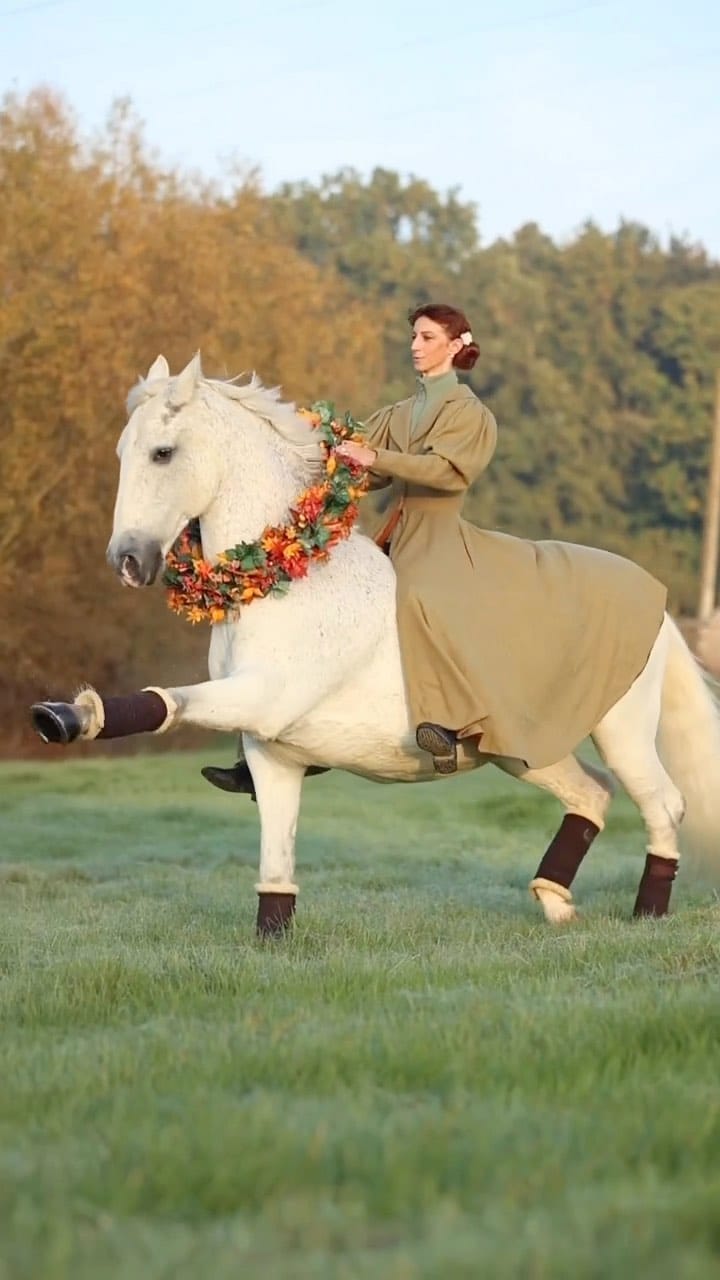 Post 5 by Horsesplanet on Instagram (video)