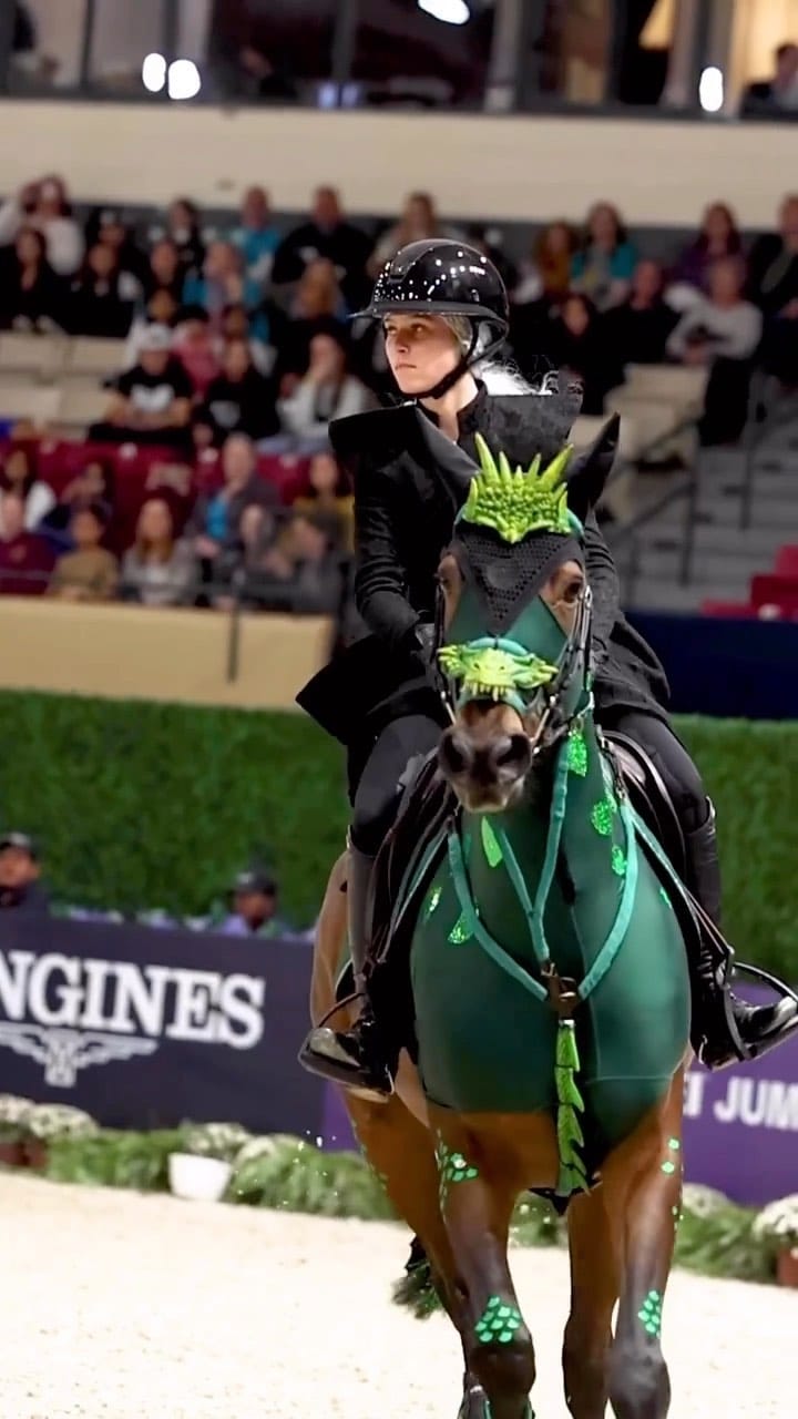 Post 3 by Horsesplanet on Instagram (video)