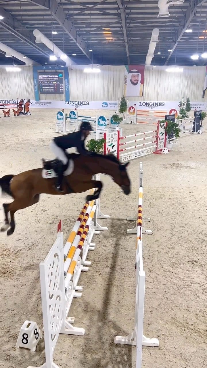 Post 8 by Horsesplanet on Instagram (video)