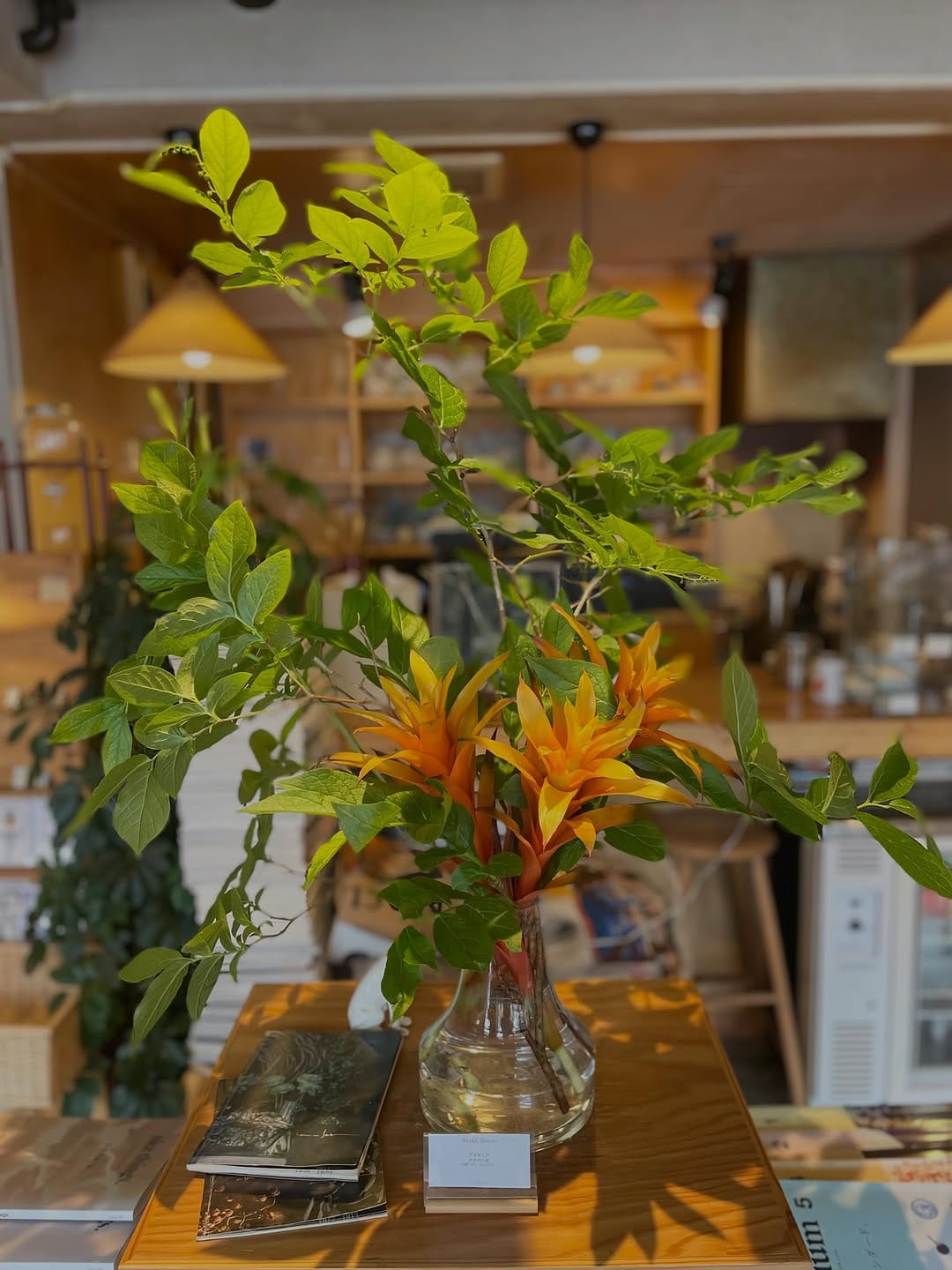Post 5 by hato coffee on Instagram (carousel)