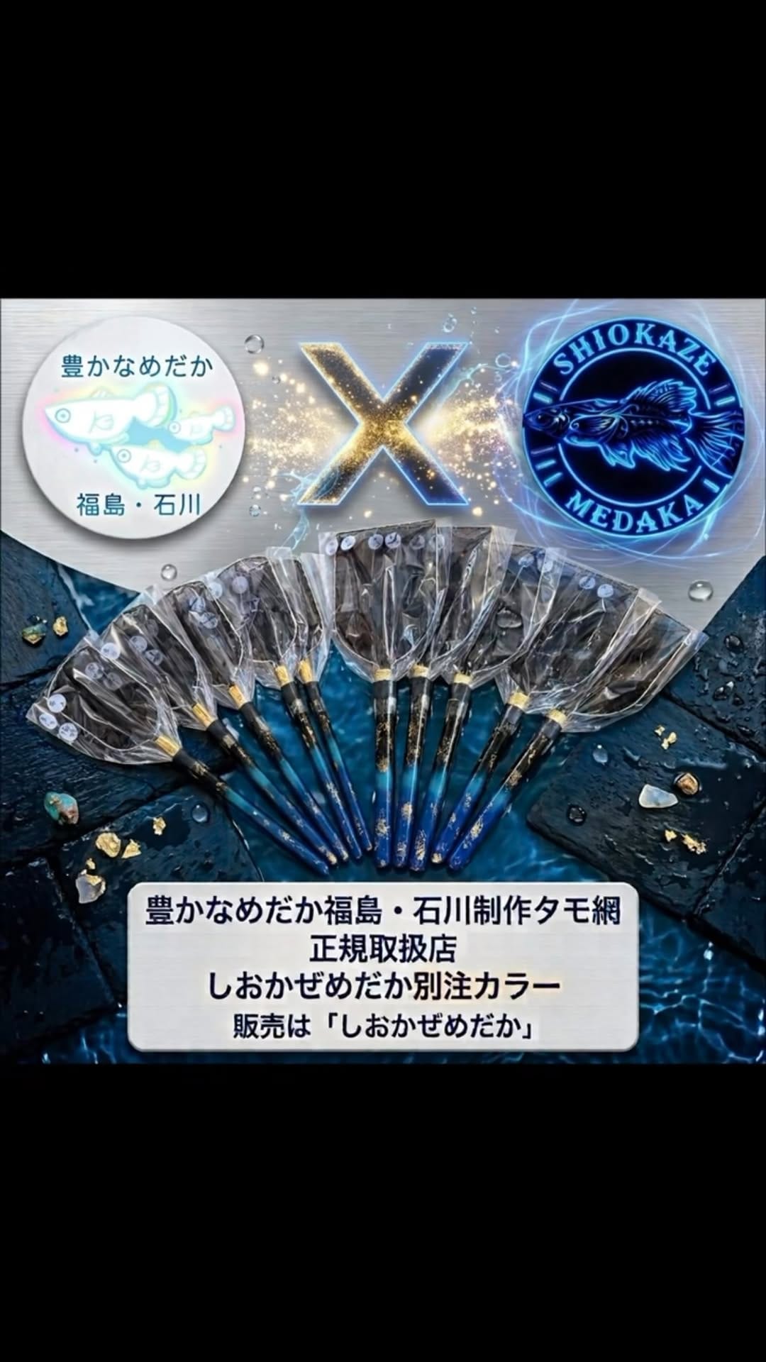 Post 5 by しおかぜめだか【HIRO】 on Instagram (video)