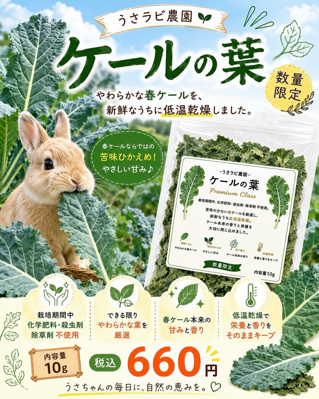 Post 5 by うさうさラビトリー本店・MD（うさぎ専門店） on Instagram (carousel)