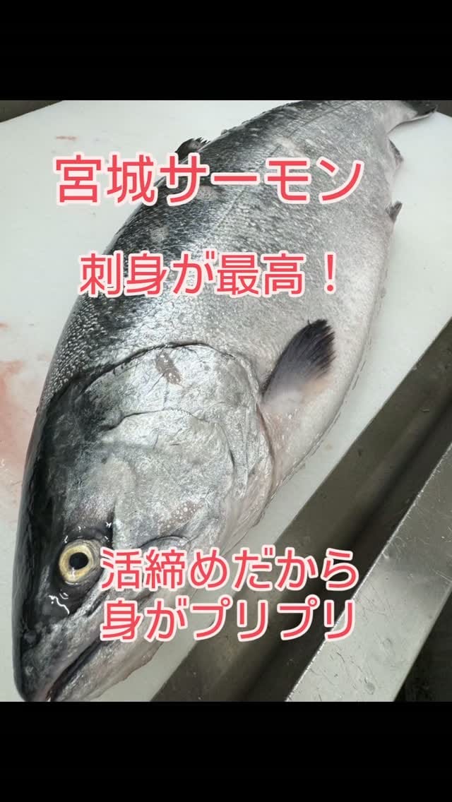 Post 7 by 今朝どれ鮮魚問屋　早鈴 on Instagram (video)
