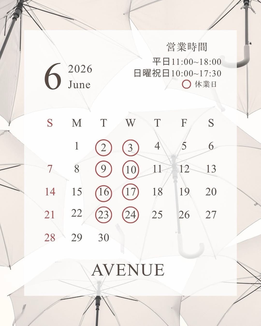 Post 9 by AVENUE on Instagram (image)