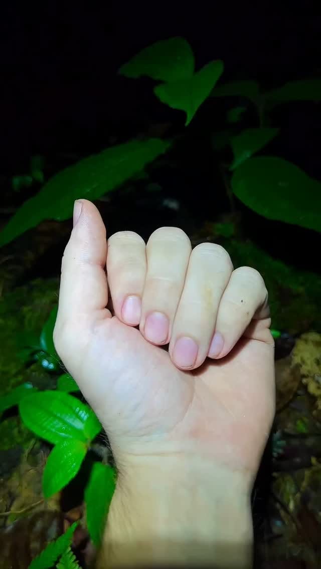 Post 9 by animalsiland on Instagram (video)