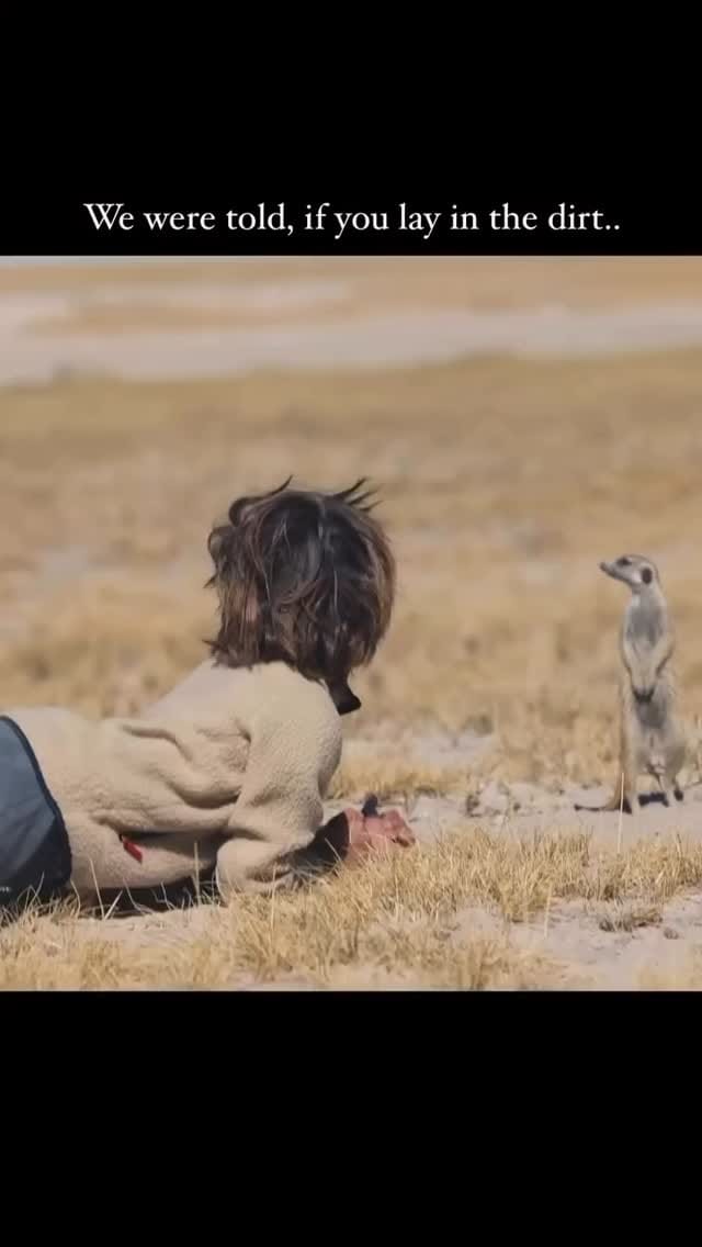 Post 4 by animalsiland on Instagram (video)