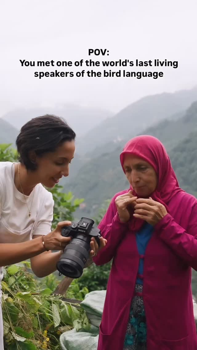 Post 3 by animalsiland on Instagram (video)