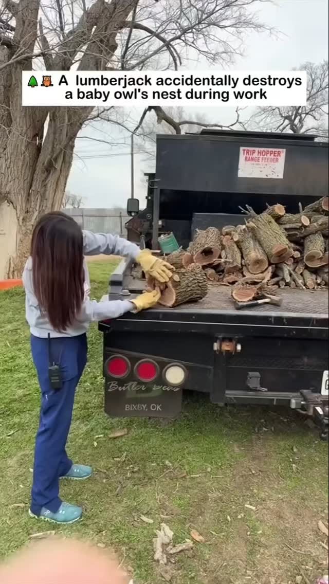 Post 8 by animalsiland on Instagram (video)