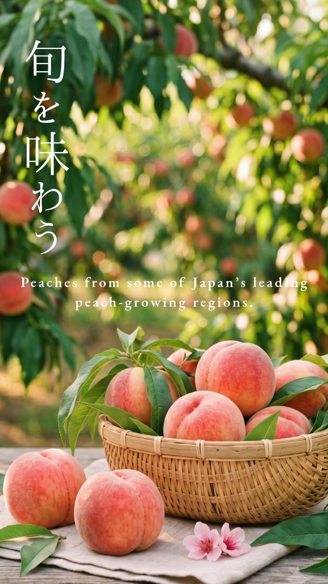 Post 3 by TFD(Tokyo Fresh Direct) on Instagram (video)