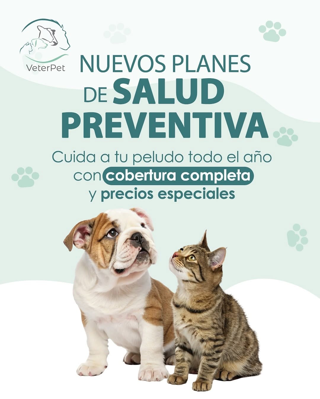 Post 10 by Veterpet Clínica Veterinaria on Instagram (carousel)