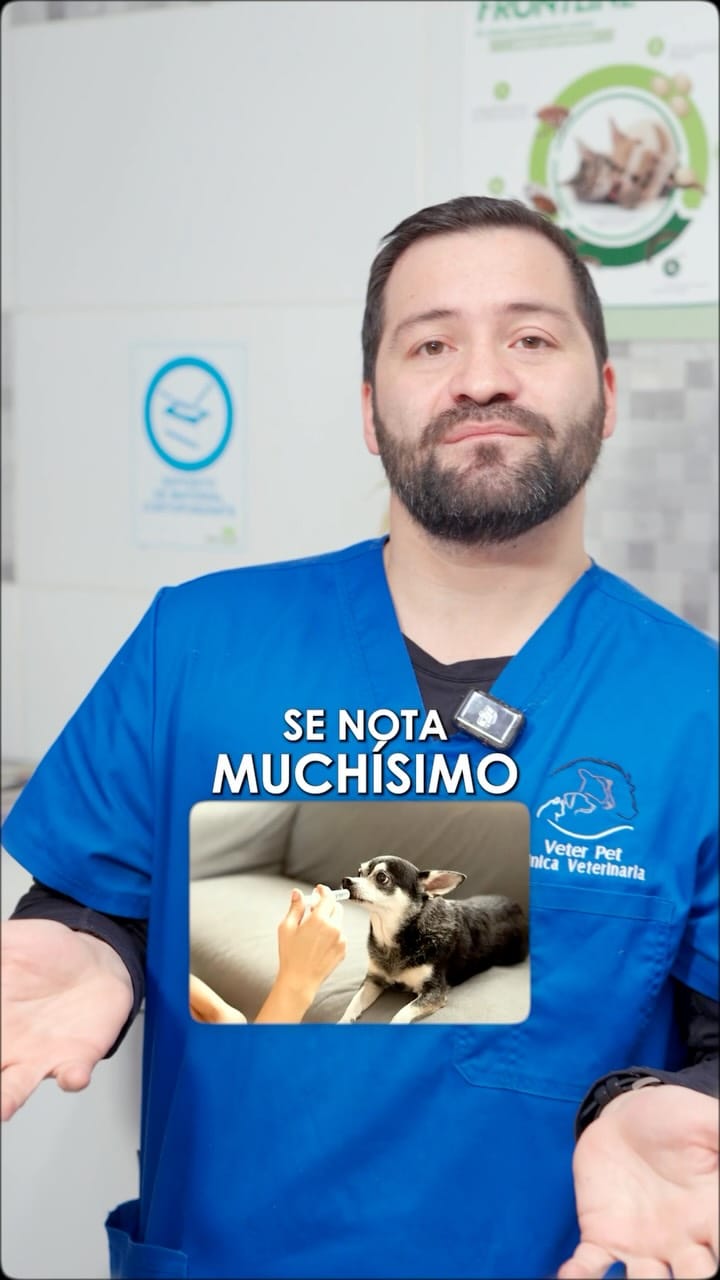 Post 4 by Veterpet Clínica Veterinaria on Instagram (video)
