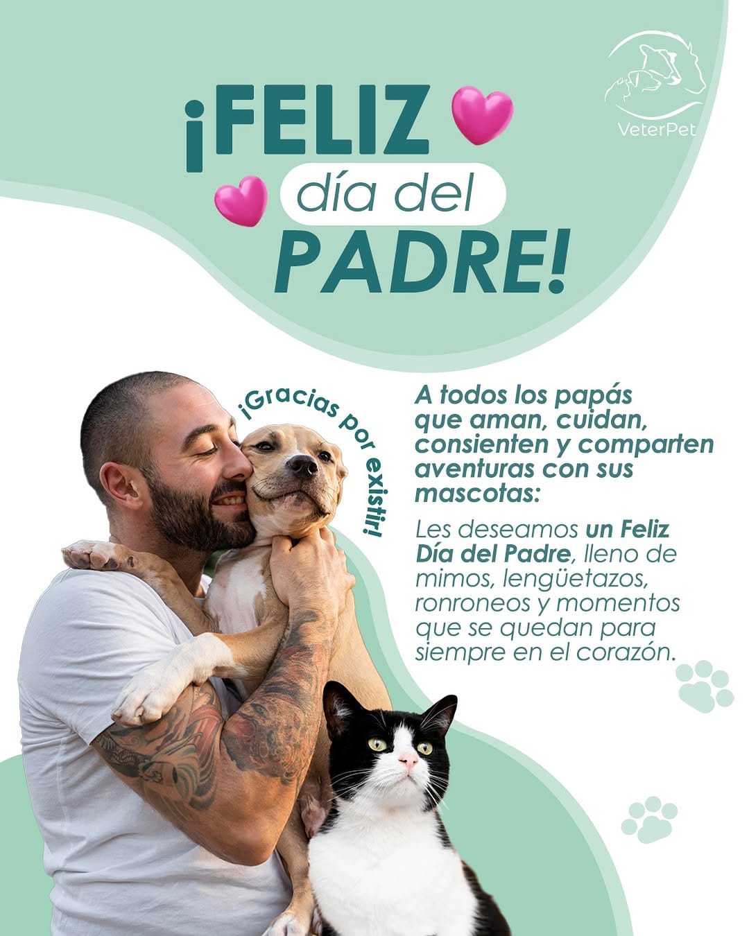 Post 5 by Veterpet Clínica Veterinaria on Instagram (image)