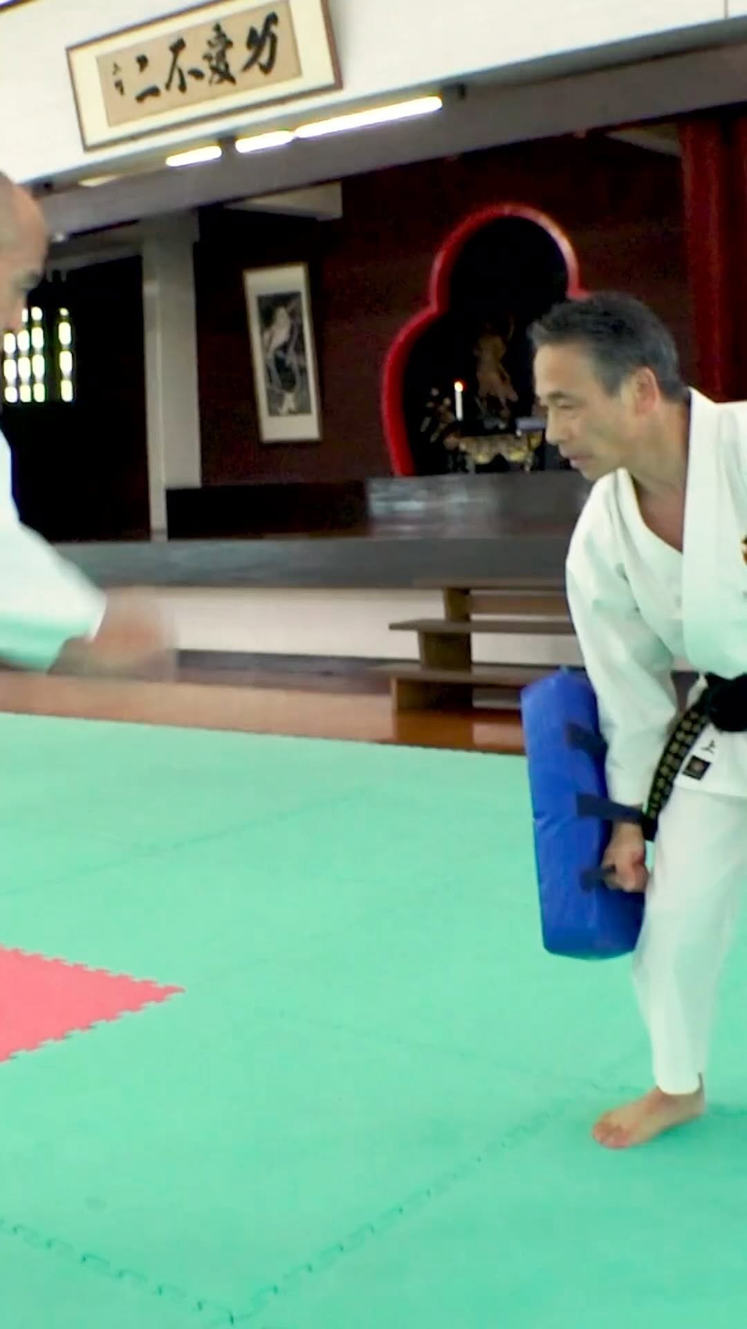 Post 7 by Kobudo Mart on Instagram (video)