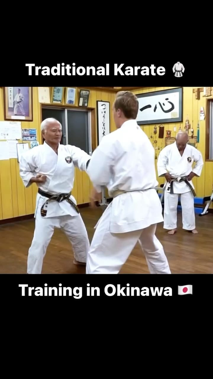 Post 8 by Kobudo Mart on Instagram (video)